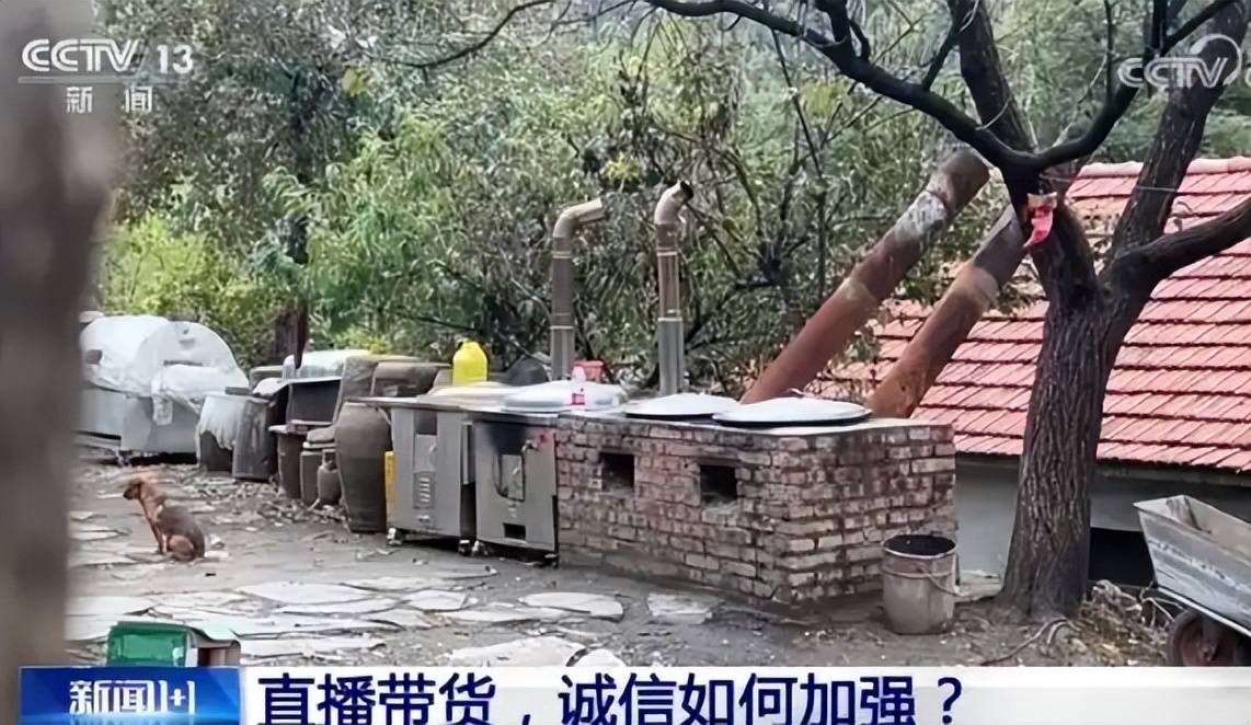 东北雨姐翻车记:从乡村网红到封号罚款