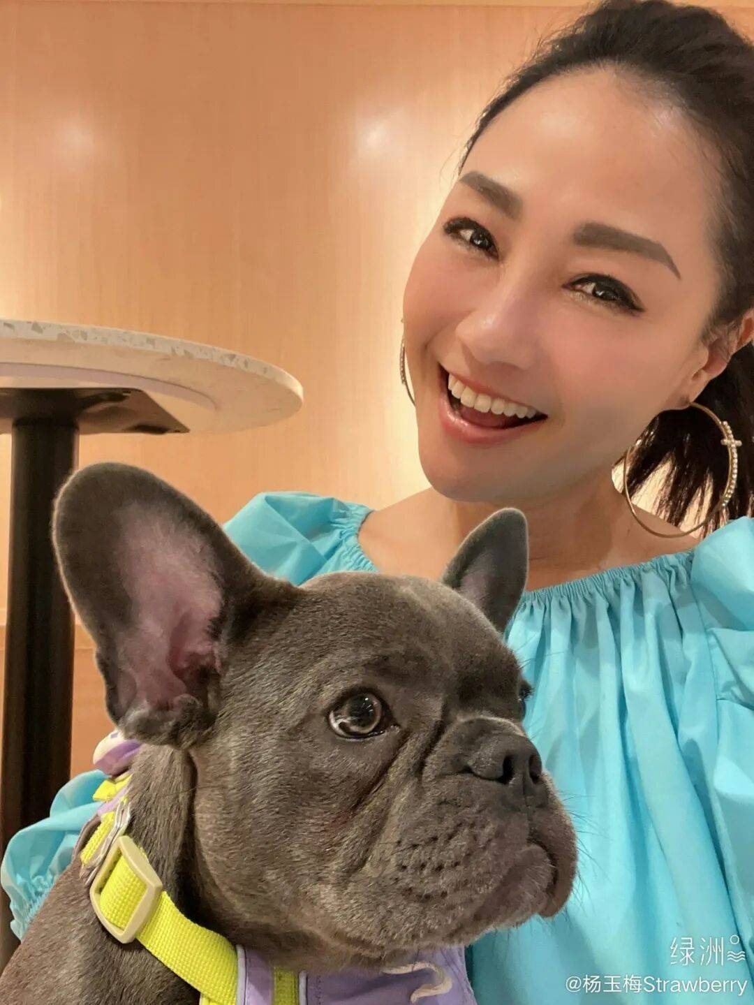 TVB杨玉梅自曝行业不当行为:多次拒绝富豪利诱开房