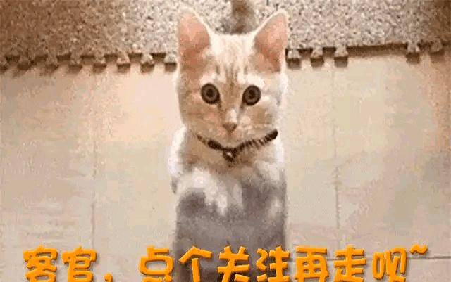 白鹿风波升级!发十万红包收买群众引争议