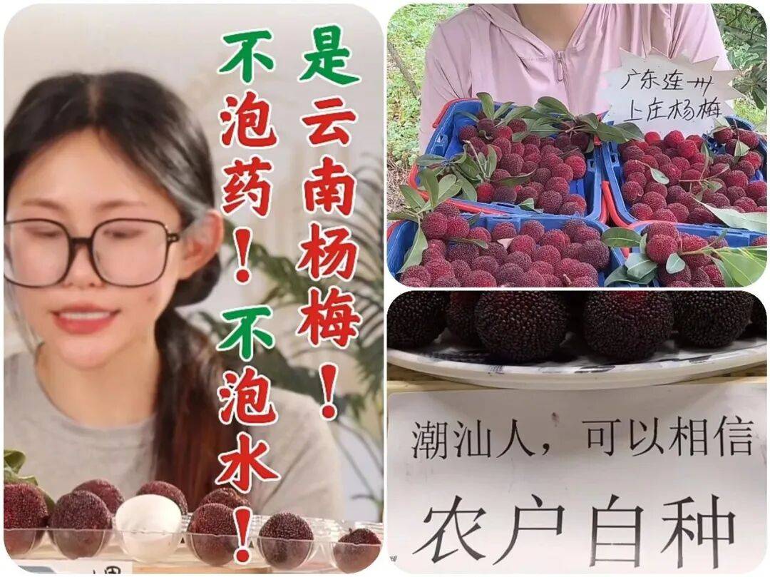 又一网红水果出现问题消费者却无力心疼果农了
