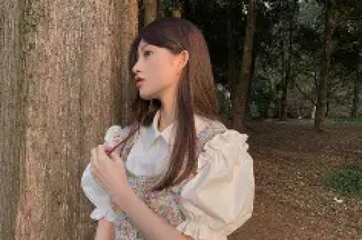 宠物粘尘器被指伤猫初代网红人设再遇考验