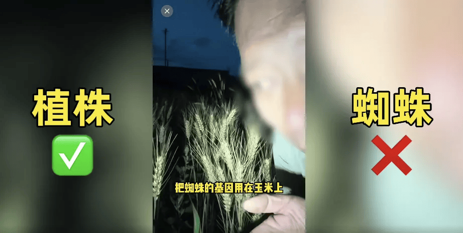 200万网红抹黑袁隆平 造谣杂交水稻害人