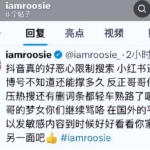 从碰瓷到被告：司晓迪的 AI 造假之路走到头了